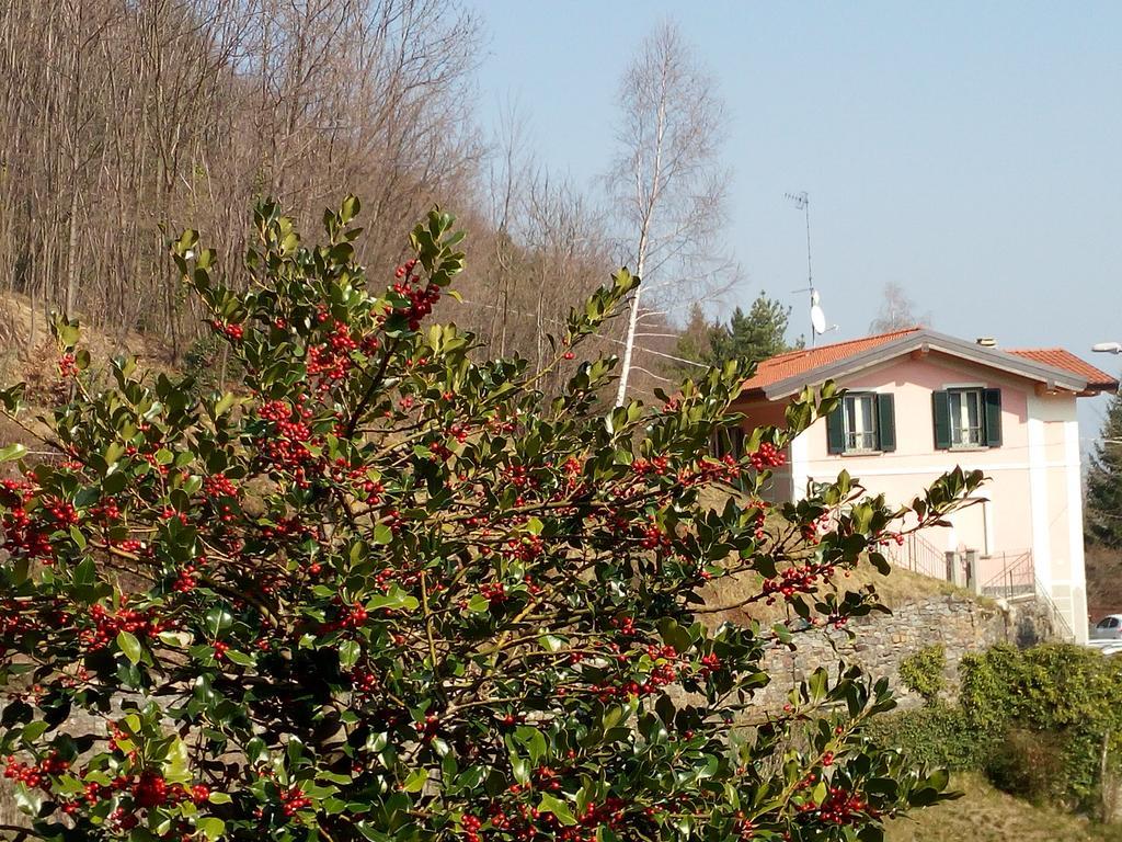 La Villa Morandi Marzio Exteriör bild
